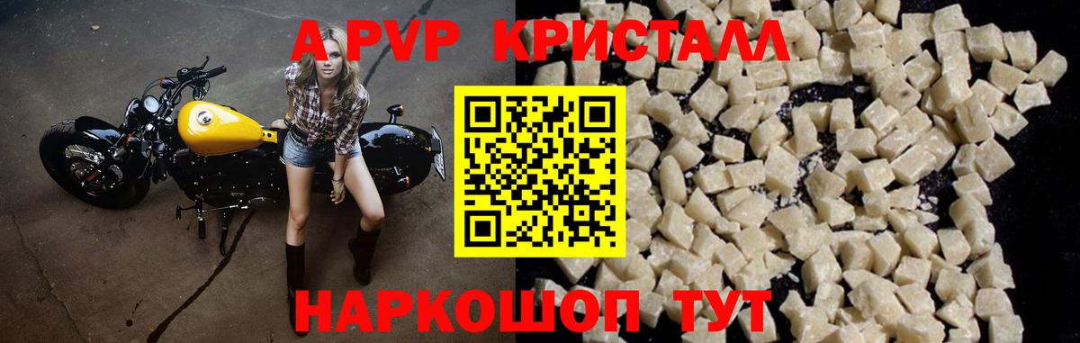 Alfa_PVP СК  А ПВП крисы CK  Вход с VPN  Белгород 