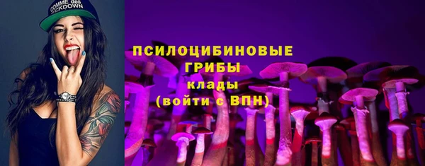 метамфетамин Алексеевка