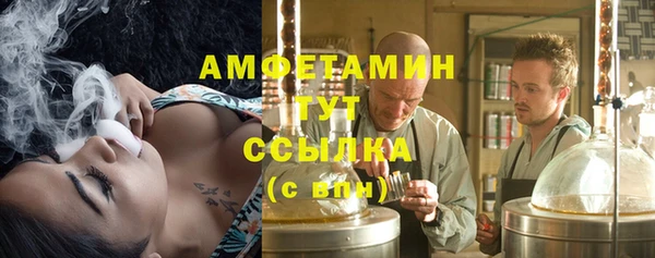 сатива Алексин